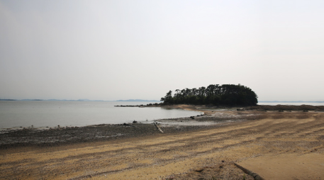 Daecheon Heritage [photo]