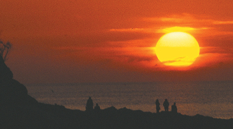 Daecheon Beach [photo]