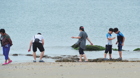 Daecheon Beach [photo]