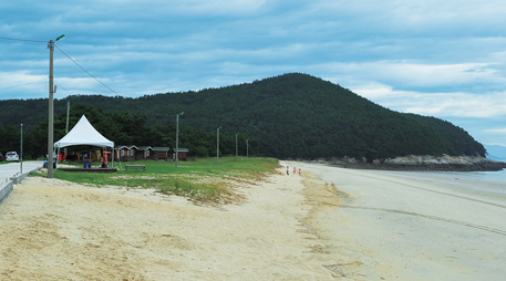 Daecheon Beach [photo]