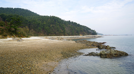 Daecheon island [photo]