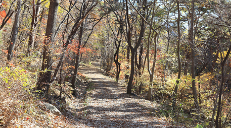 Daecheon Mountainh [photo]