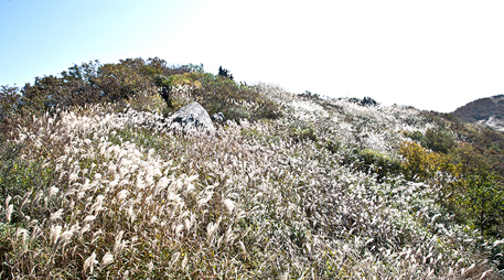 Daecheon Mountain [photo]