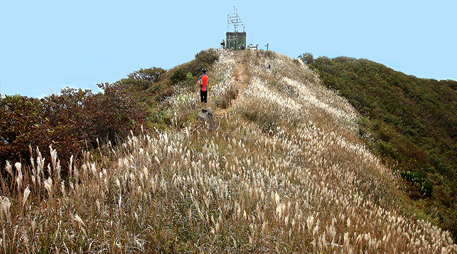 Daecheon Mountain [photo]