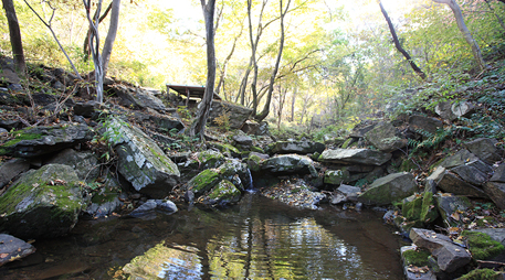 Daecheon Mountain [photo]