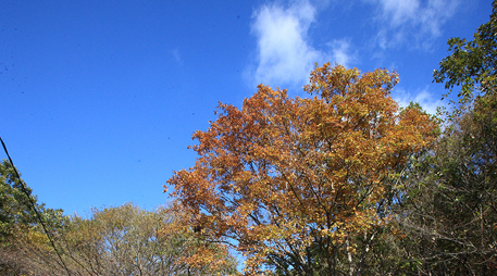 Daecheon Mountain [photo]