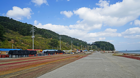 Daecheon island [photo]