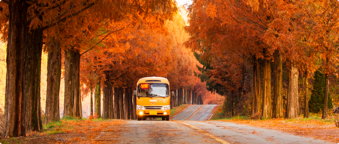 Intercity Tour Bus