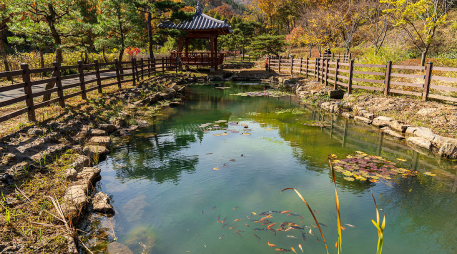 Daecheon Recreation [photo]