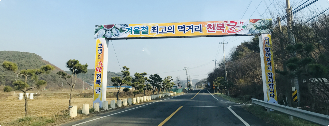 Daecheon Beach [festival]