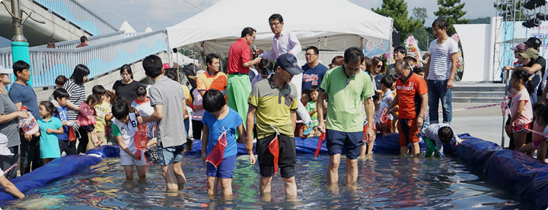 Daecheon Beach [festival]