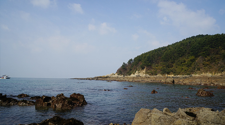 Daecheon island [photo]