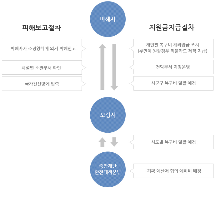 피해신고·지원흐름도 