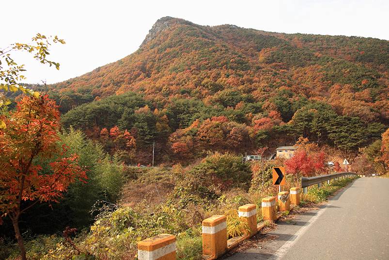 보령호 관련 이미지52