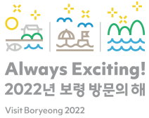 2022년 보령 방문의 해 로고 조합형