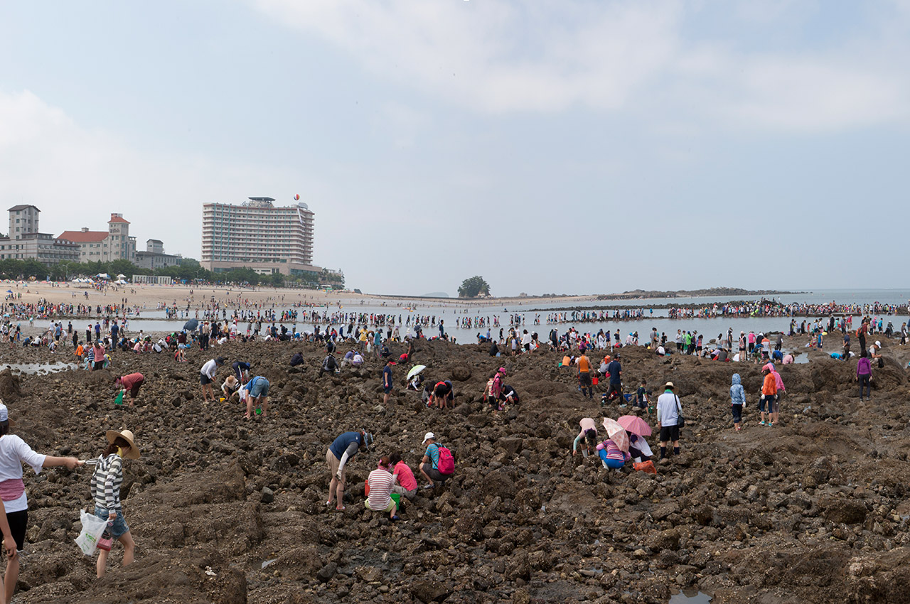 무창포 바닷길축제 사진