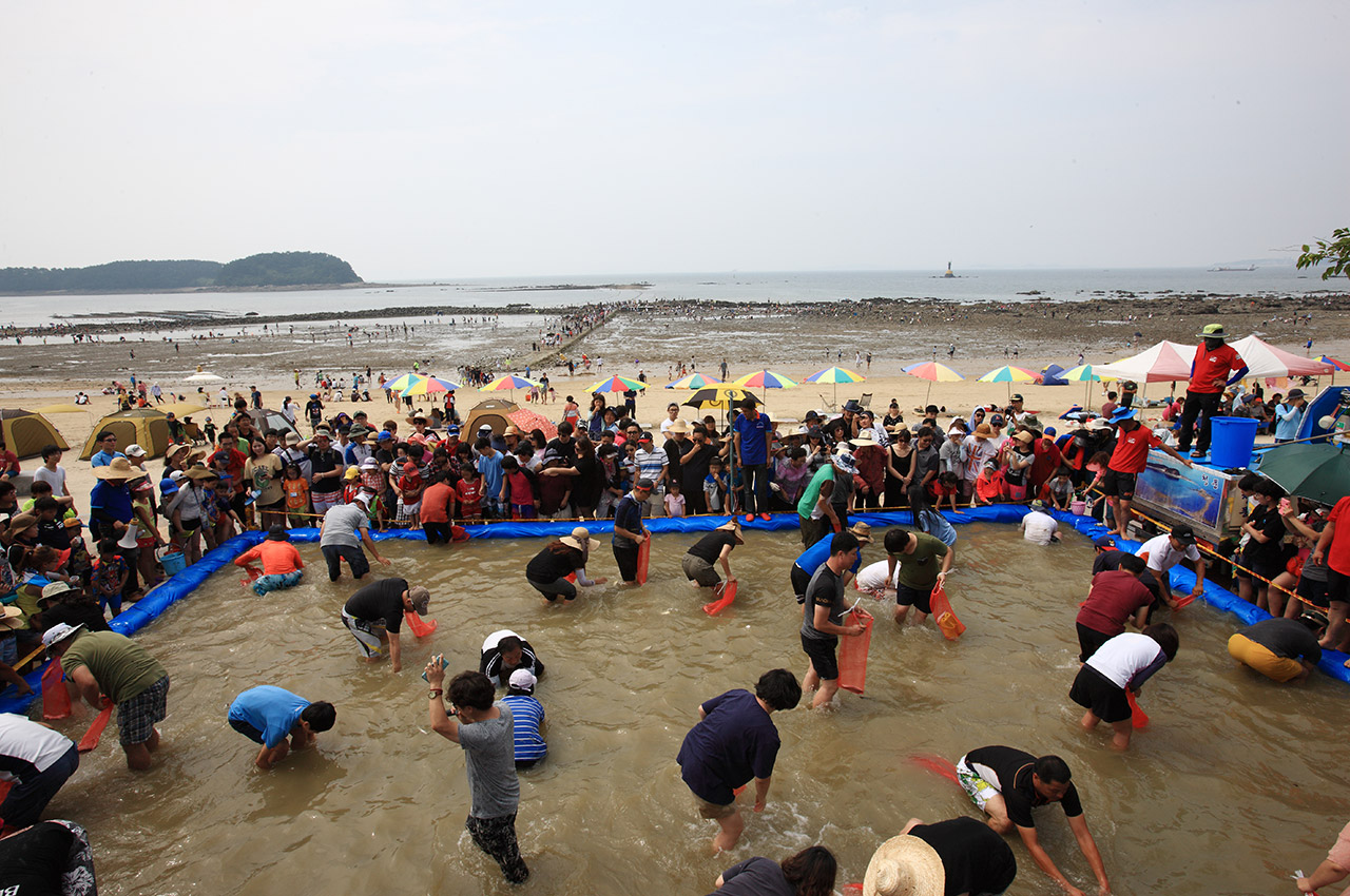 무창포 바닷길축제 사진