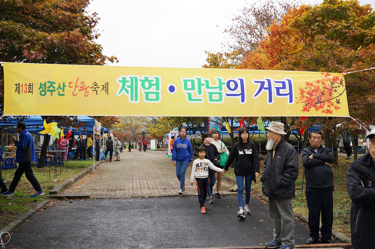 단풍축제 사진