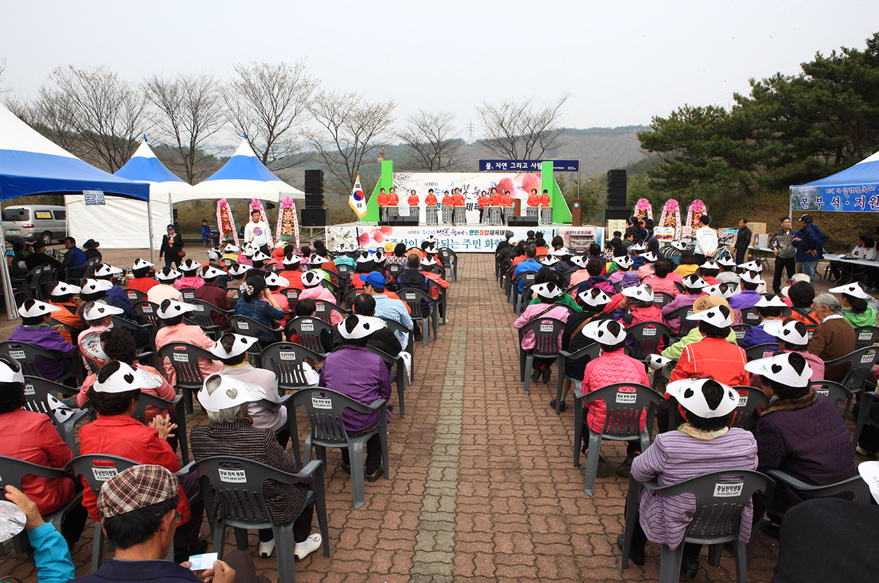 주산벚꽃축제 사진