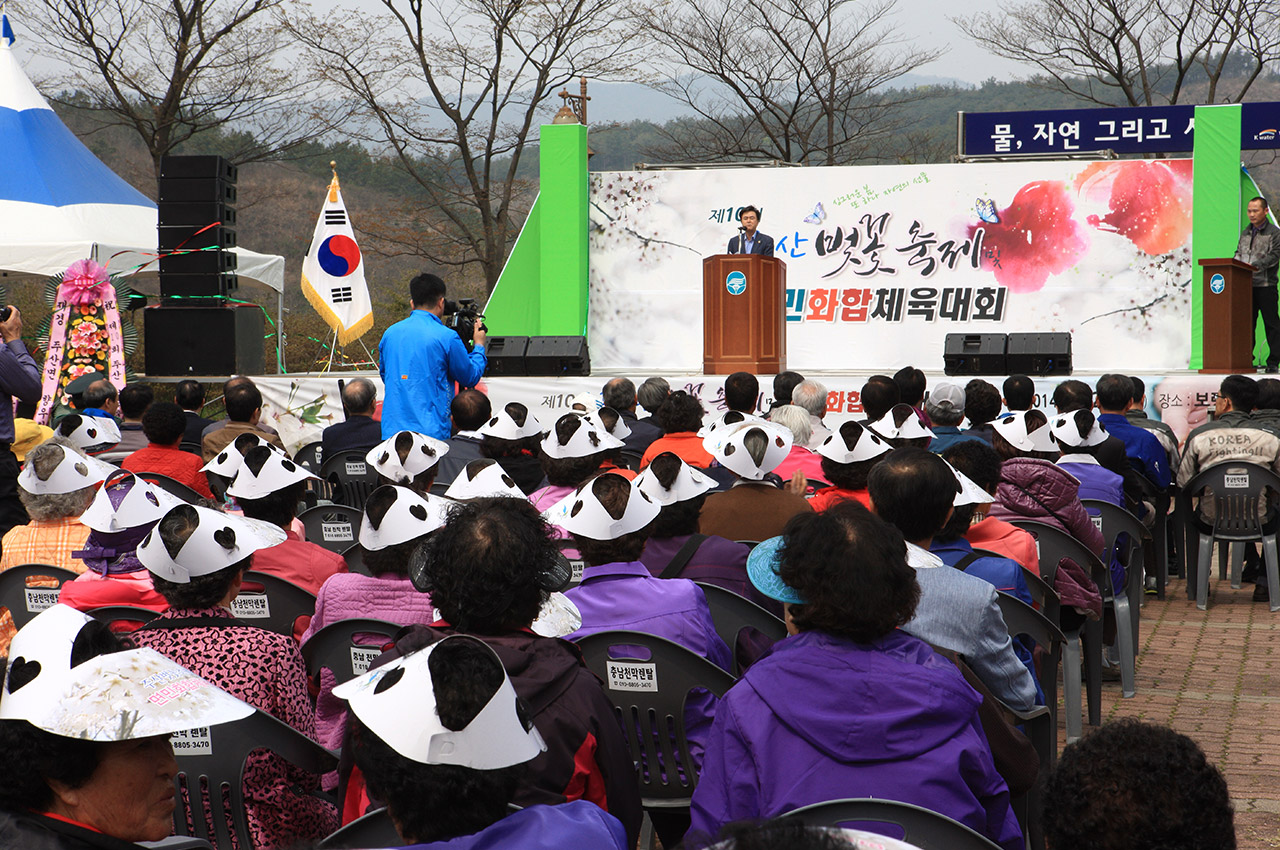 주산벚꽃축제 사진