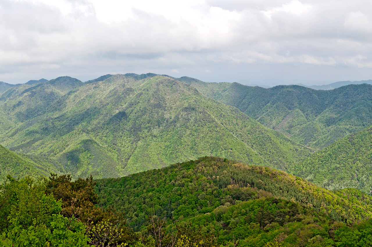 성주산 사진