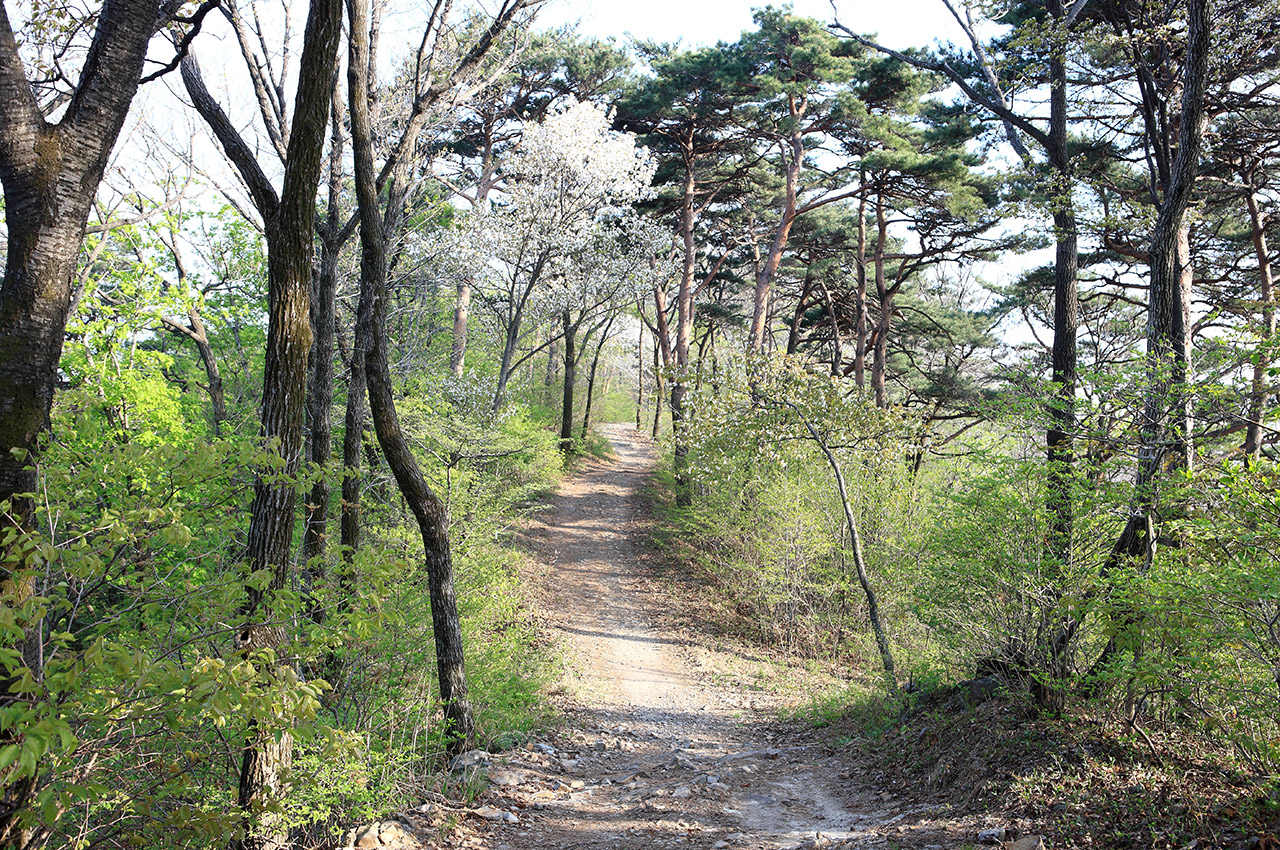 성주산 사진