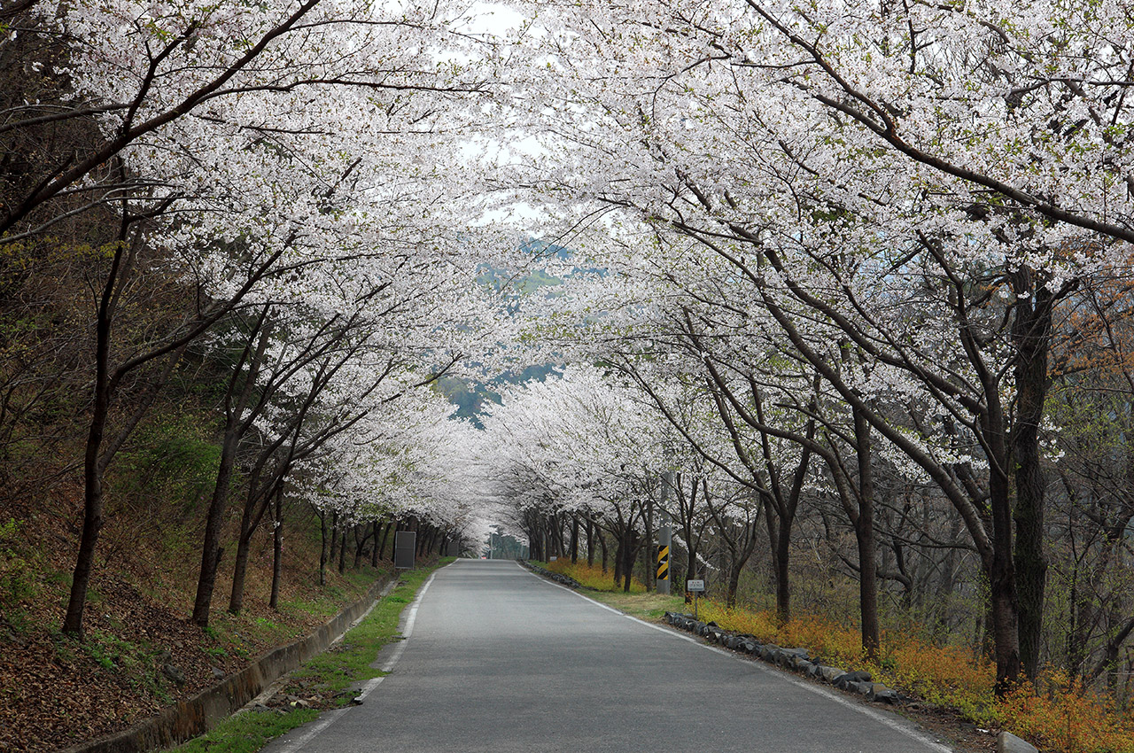 옥마산 사진