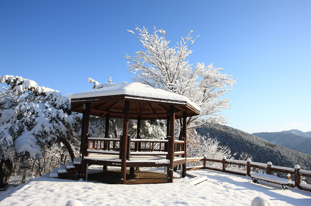 옥마산 사진