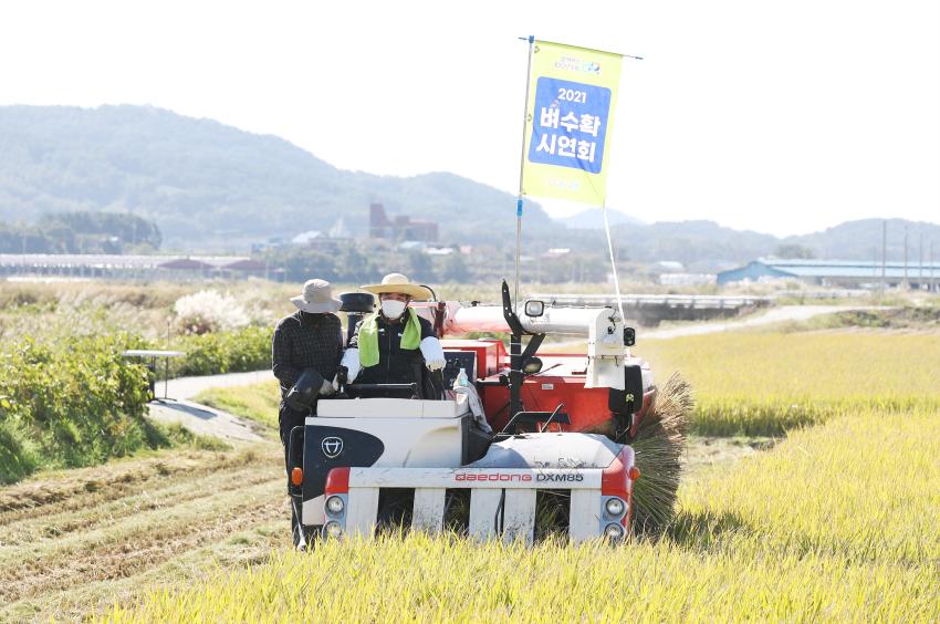 김동일 보령시장, 농업인과 함께 ‘벼 수확의 기쁨’ 나눠