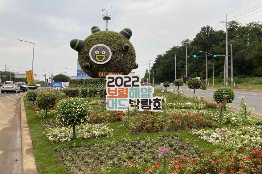 보령시, 아름다운 가로환경 조성 추진