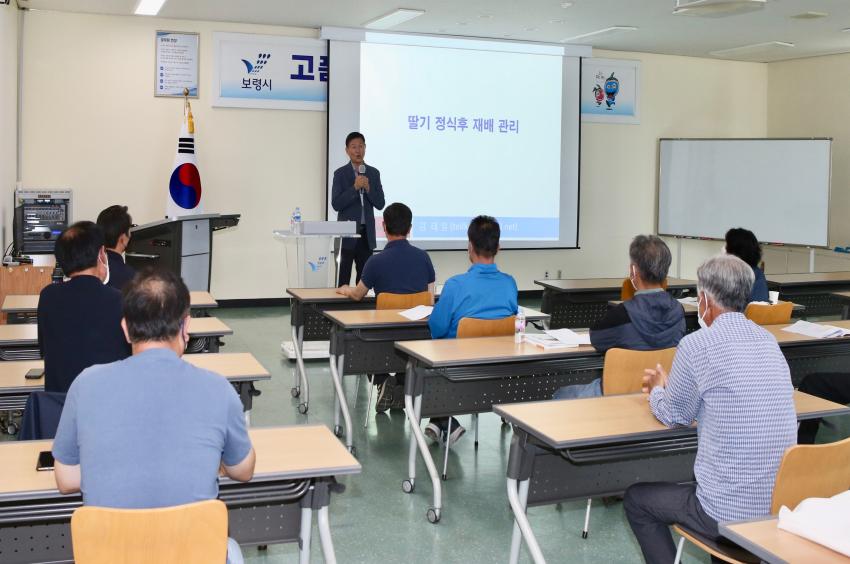 보령시, 전략작목 육성 위한 딸기 재배기술 집중지원